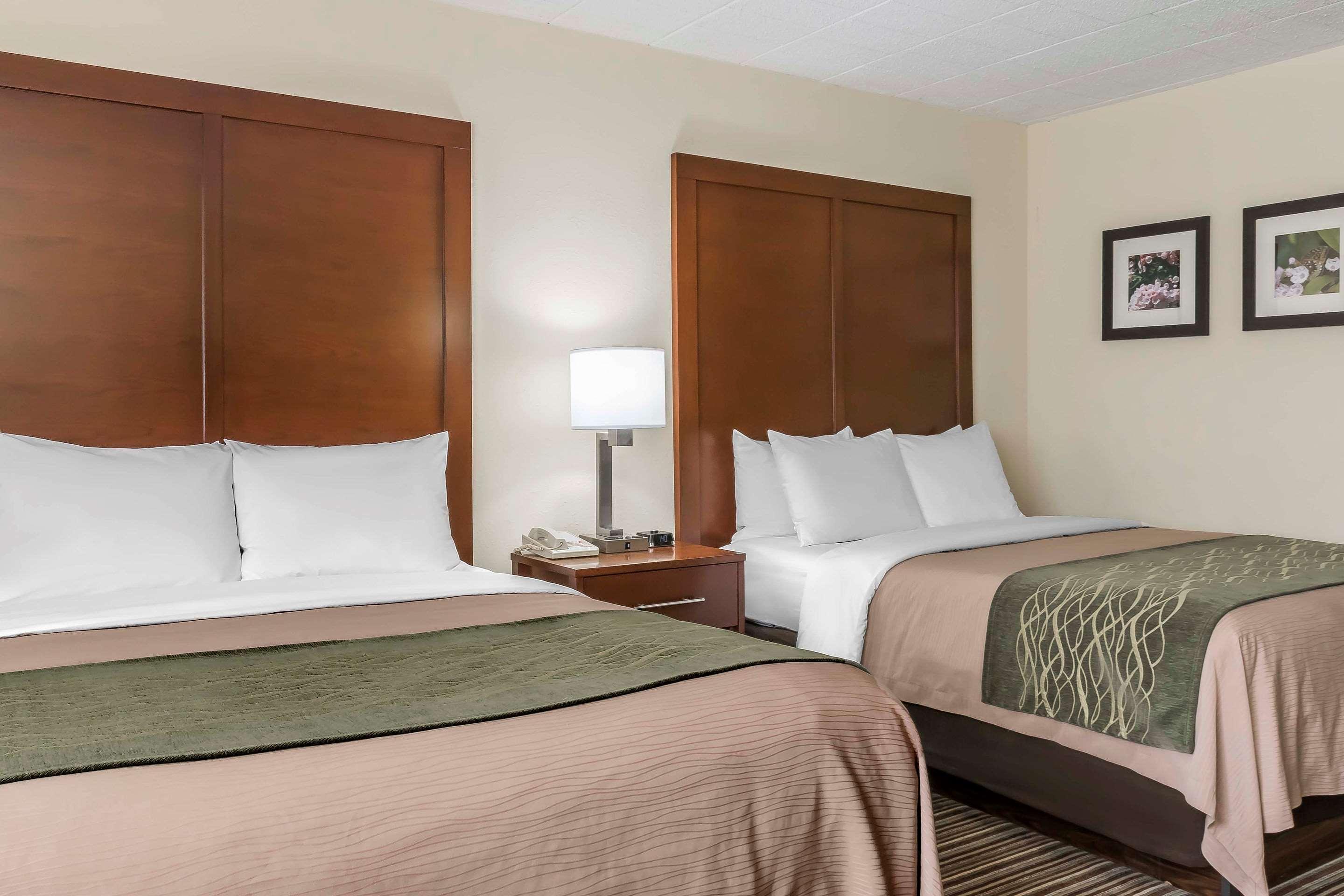 Comfort Inn - Pocono Mountains White Haven Bagian luar foto