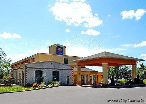 Comfort Inn - Pocono Mountains White Haven Bagian luar foto